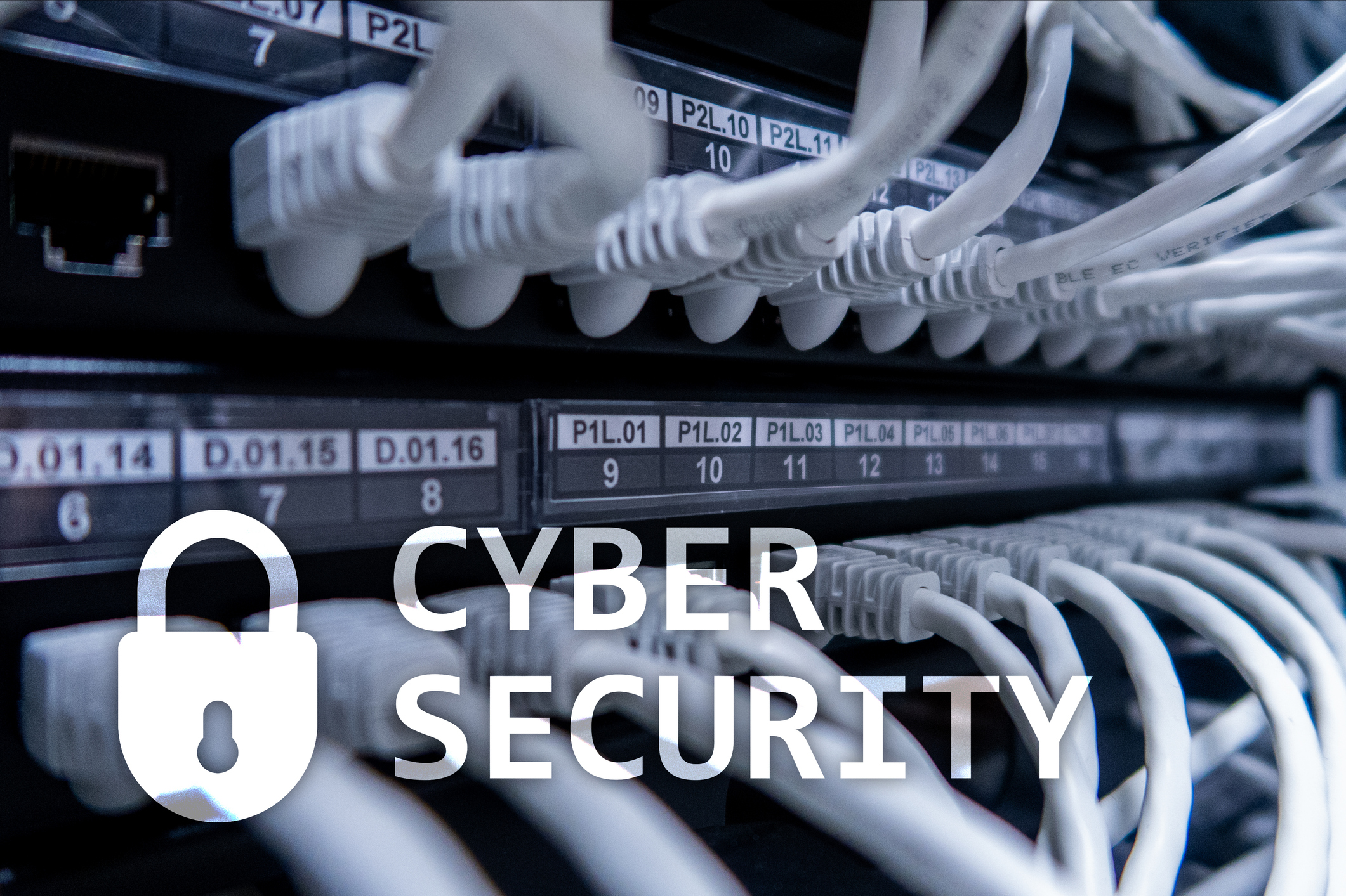 What Is Zero Trust Security and Why Does Your Business Need It?